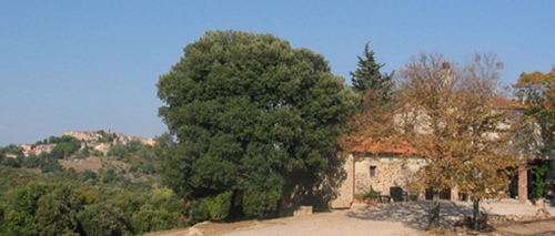 vacanze in toscana, soggorno in toscana, agriturismo in maremma