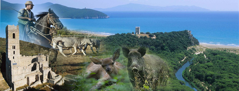 Parco Naturale della Maremma